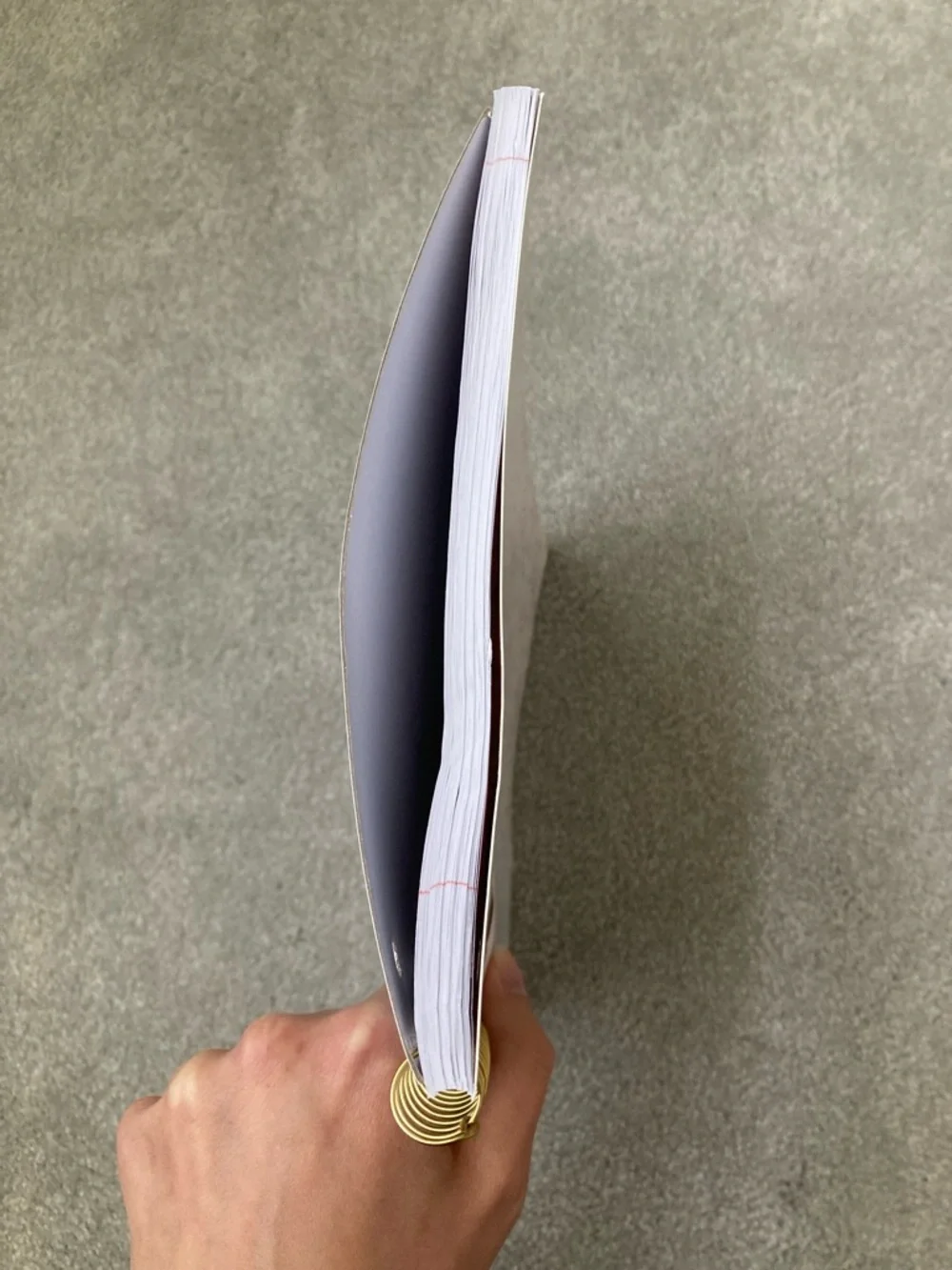 IN-HAND | LoveShackFancy x Target Yoobi Coquette Bow Spiral Notebook
